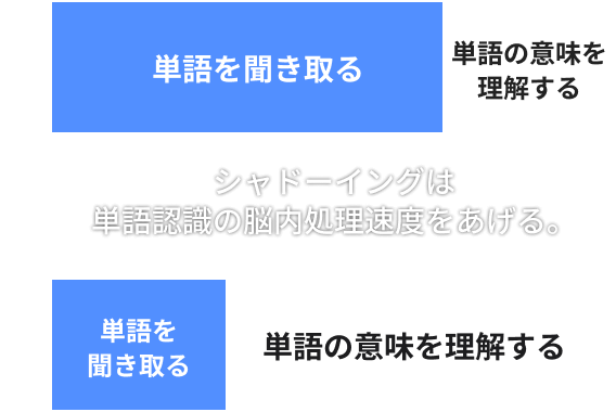 シャドーイングは単語認識の脳内処理速度をあげる。